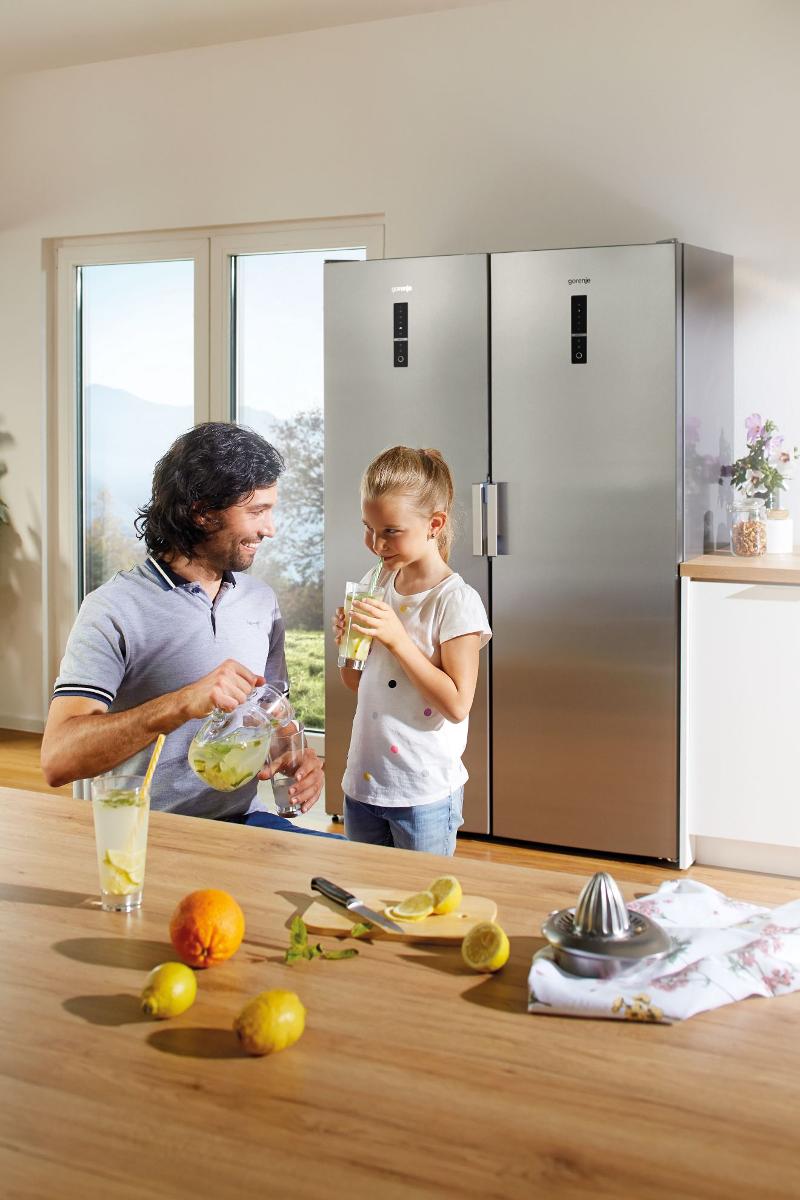 Холодильник GORENJE R 6192 LX - характеристики и техническое описание на  сайте интернет-магазина Премьер Техно